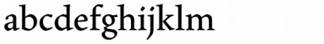 Maiola Cyrillic Book