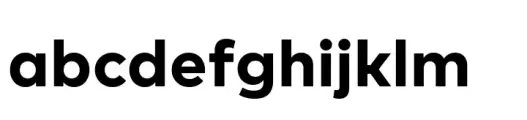 Manifestor Bold