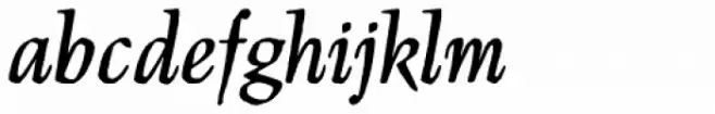 Manuskript Ant D Italic