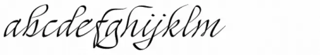 Mayence Premium