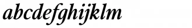 Merong Medium Italic