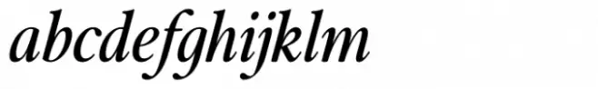 Merong Variable Italic