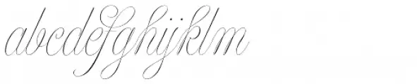 Model Standard One
