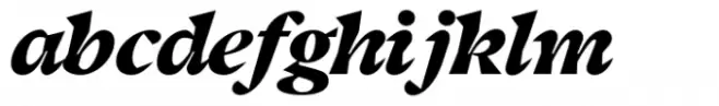 Moksha Black Italic