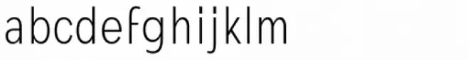 Mollen Light Condensed
