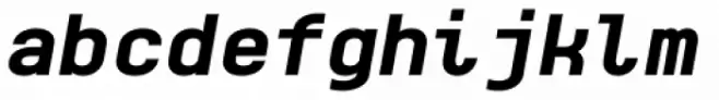 Monospaceland Extra Bold Oblique