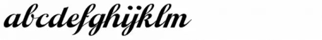 Moonshine Script NF