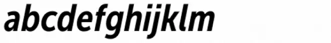 Museo Sans Condensed 700 Italic