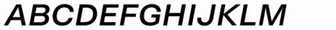 Neogrotesk Small Caps Regular Italic