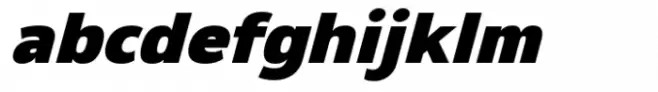 Netadyne Black Italic