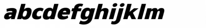 Netadyne Extra Bold Italic