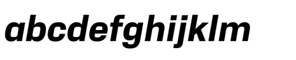 Neue Alter Bold Italic