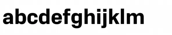 Neue Alter Bold