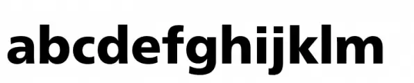 Neue Frutiger Paneuropean Black