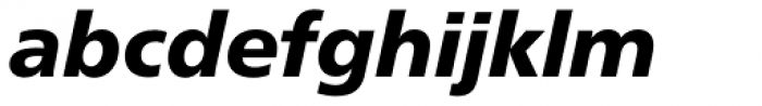 Neue Frutiger Pro Black Italic