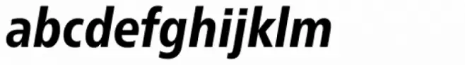 Neue Frutiger Pro Condensed Heavy Italic