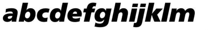 Neue Frutiger Pro ExtraBlack Italic
