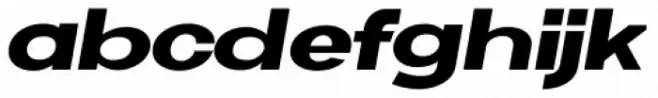 Neue Metana Black Italic