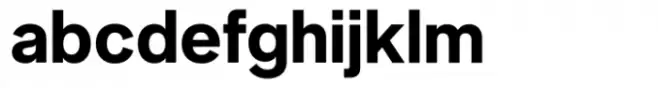 Neue Singular D Bold