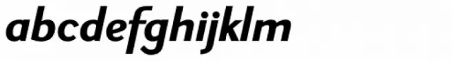 New Millennium Linear Bold Oblique