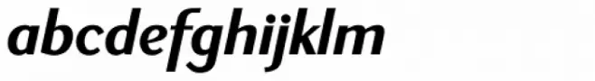 New Millennium Sans Bold Italic