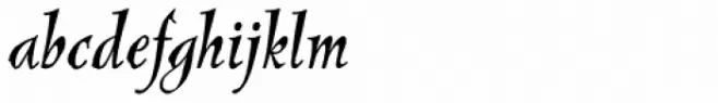 New Pelican RXSN Italic