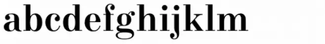 New Standard Bold