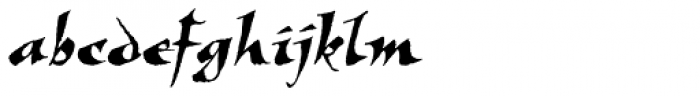 New Visigoth RXSN Italic