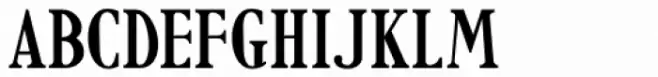 Newsbreaker JNL