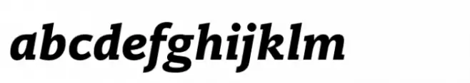 Ni Slab Bold Italic