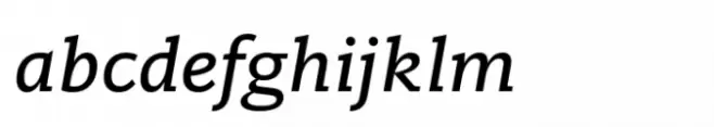 Ni Slab Book Italic