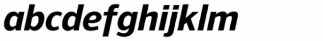 NuOrder ExtraBold Italic