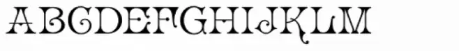 Palmer Oxonian NF