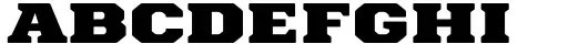 Paverify Bold