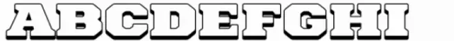 Paverify Outline Bold