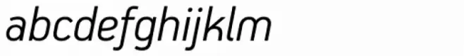 PF Handbook Pro Light Italic