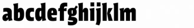 Picador Sans Extra Bold