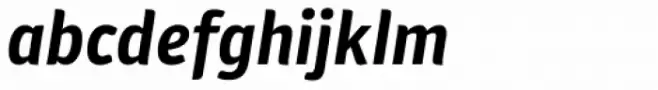 Plantago Bold Italic