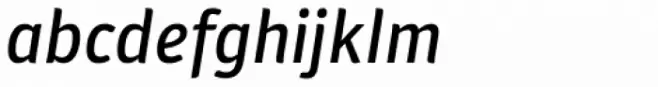 Plantago Medium Italic