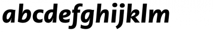 PMN Caecilia Sans Pro Text Black Italic