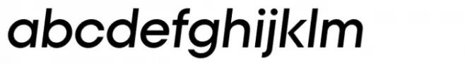 Polin Sans Medium Italic