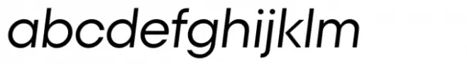 Polin Sans Regular Italic