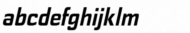 Polyflec Bold Italic