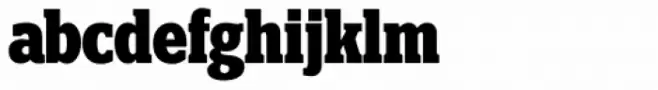 Polyphonic Condensed Bold