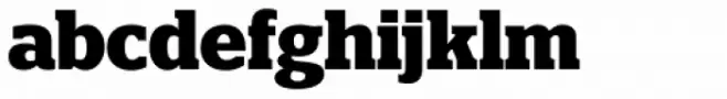 Polyphonic Narrow Bold