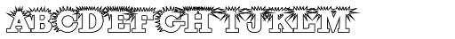 Porcupine White