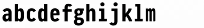 Pragmata Pro Mono Bold