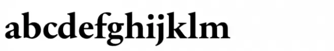 Primo Serif Std Bold