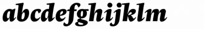 Radiata Heavy Italic