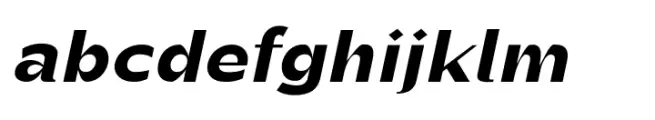 Randu Sans Black Italic